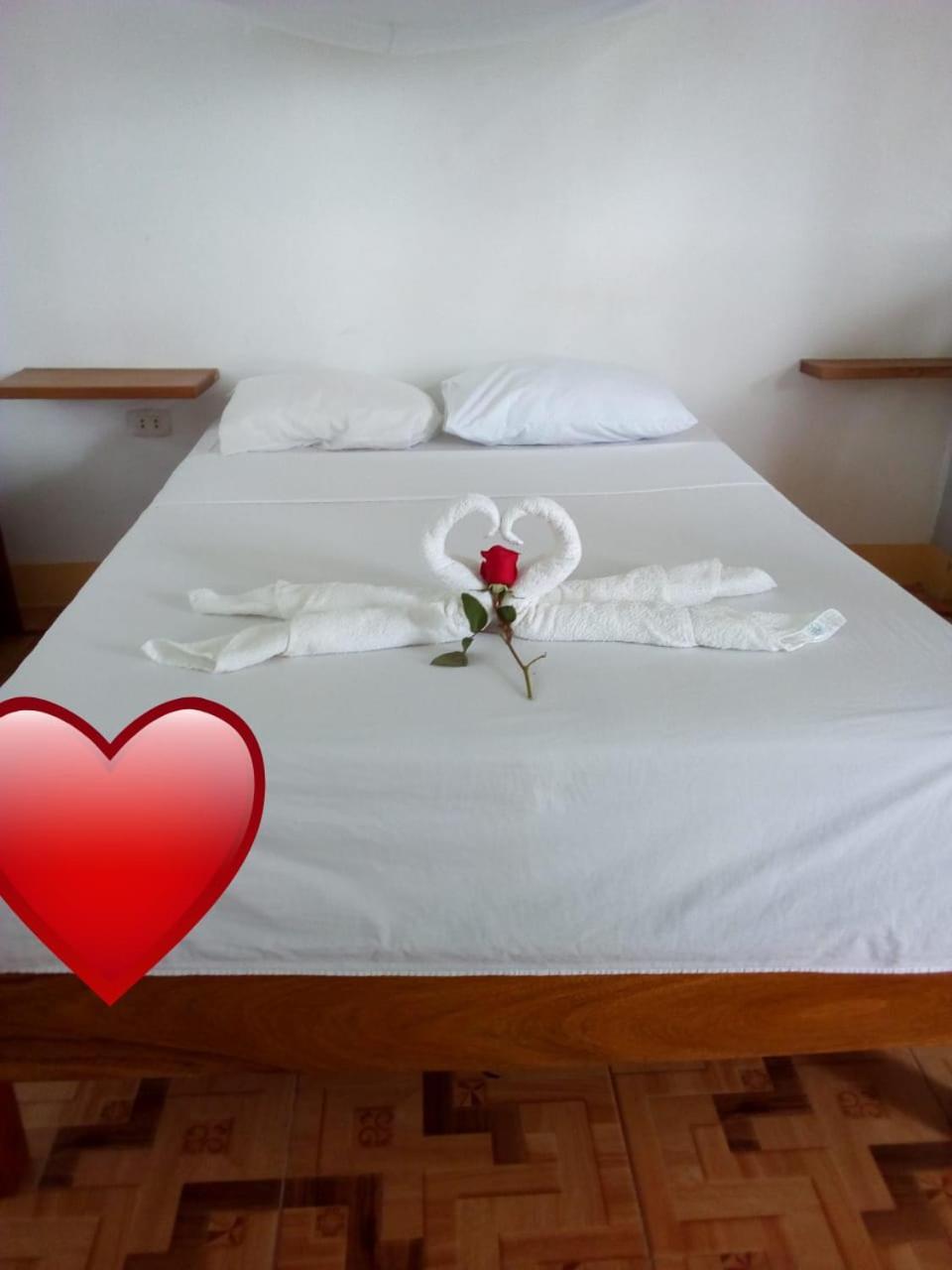 Tambopata Hostel Πουέρτο Μαλντονάντο Εξωτερικό φωτογραφία